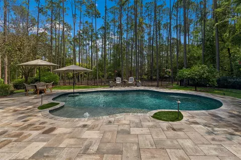 Exterior - 421 Pine Bluff Dr, Lutz, FL 33549 photo 13 of 17