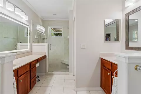 Bath - 421 Pine Bluff Dr, Lutz, FL 33549 photo 7 of 8