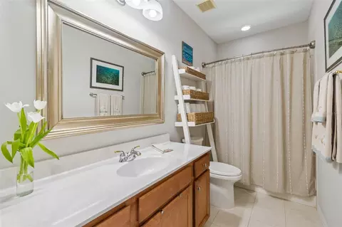 Bath - 421 Pine Bluff Dr, Lutz, FL 33549 photo 1 of 8