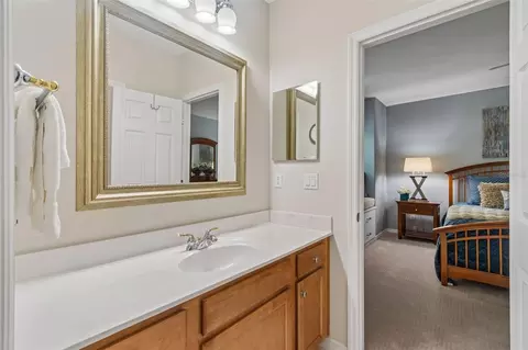 Bath - 421 Pine Bluff Dr, Lutz, FL 33549 photo 3 of 8