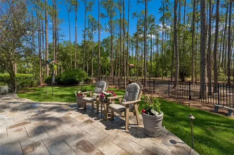 Exterior - 421 Pine Bluff Dr, Lutz, FL 33549 photo 14 of 17