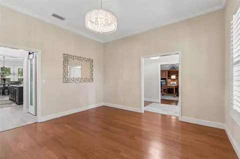 Other - 421 Pine Bluff Dr, Lutz, FL 33549 photo 3 of 10