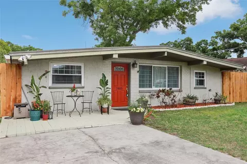 7805 N Glen Ave, Tampa, FL 33614