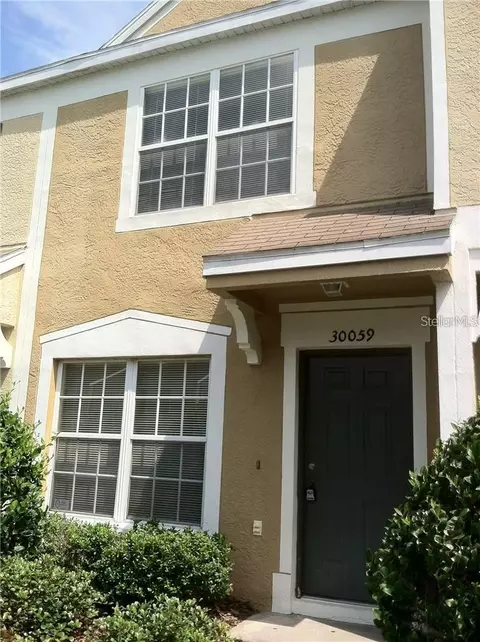 30059 Granda Hills Ct, Wesley Chapel, FL 33543