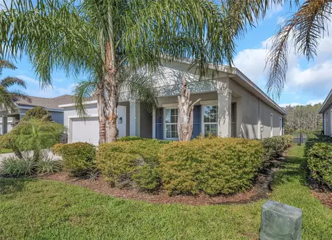 2427 Portico St, Odessa, FL 33556