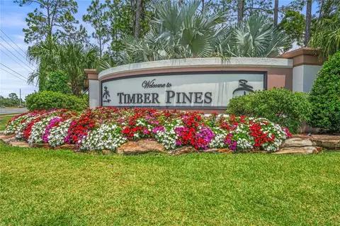 View/Area - 2047 Overbrook Ln, Spring Hill, FL 34606 photo 12 of 24