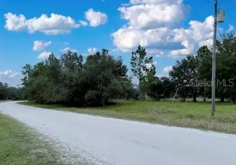116 Osceola Rd, Georgetown, FL 32139 photo 14