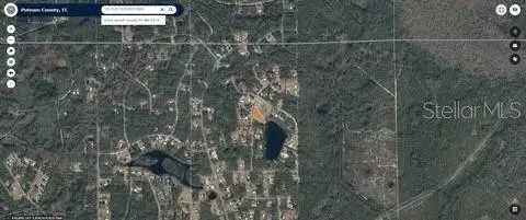 116 Osceola Rd, Georgetown, FL 32139 photo 12
