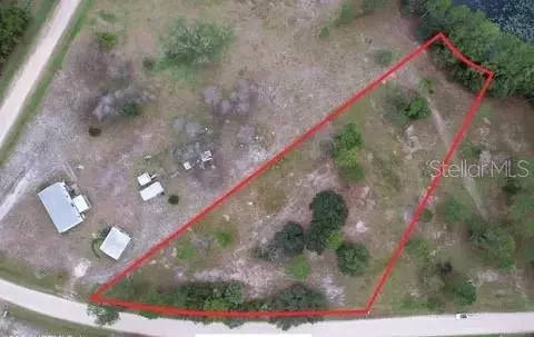 116 Osceola Rd, Georgetown, FL 32139 photo 2