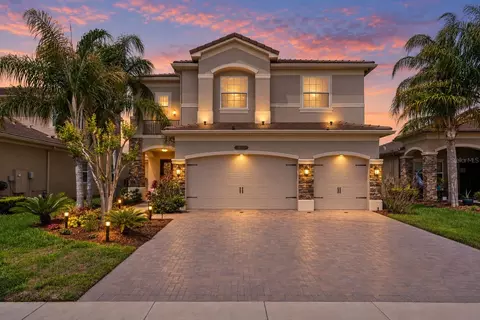 30351 Tristania Ct, Wesley Chapel, FL 33543