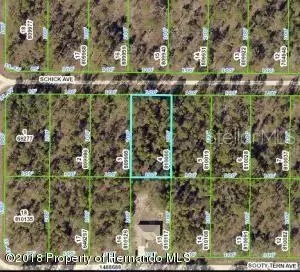 13352 Schick Ave, Brooksville, FL 34614
