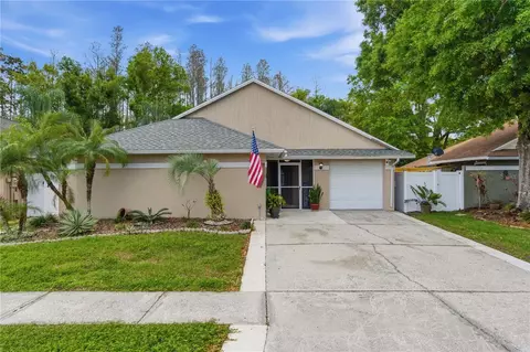 11914 Sugar Tree Dr, Tampa, FL 33625