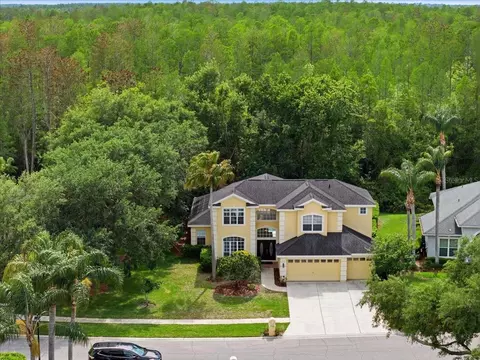 19106 Saint Laurent Dr, Lutz, FL 33558