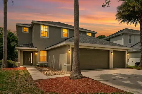 9317 Mandrake Ct, Tampa, FL 33647