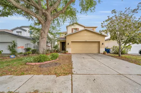 17539 Balmaha Dr, Land O Lakes, FL 34638
