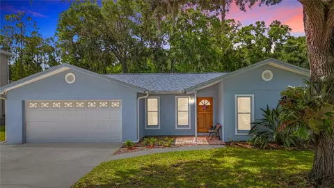 12912 Starling Dr, Odessa, FL 33556