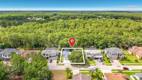 12912 Starling Dr, Odessa, FL 33556