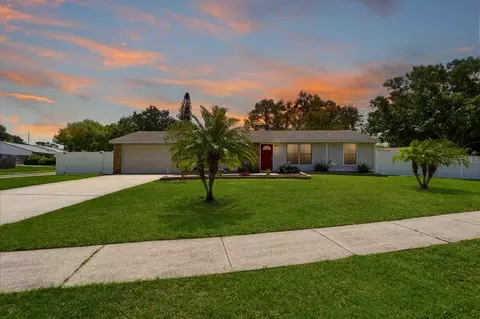 300 Sweetgum Ct, Palm Harbor, FL 34683