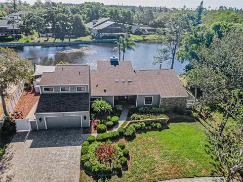 3216 Harvest Moon Dr, Palm Harbor, FL 34683