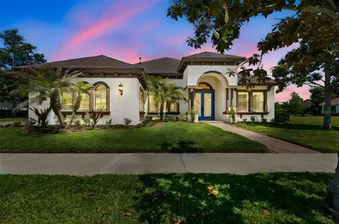 20439 Lace Cascade Rd, Land O Lakes, FL 34637