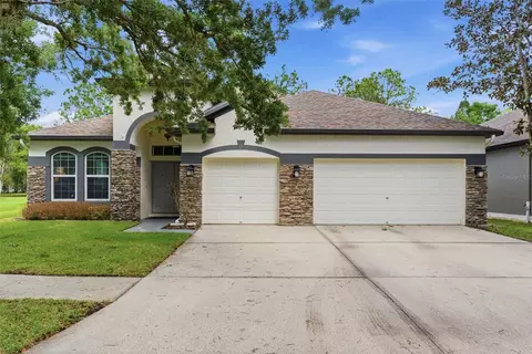 5832 Heronview Crescent Dr, Lithia, FL 33547