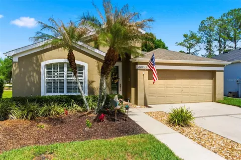 26645 Sea Hero Cir, Wesley Chapel, FL 33544