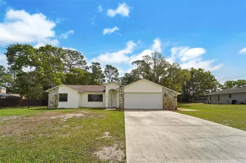 1250 Finland Dr, Spring Hill, FL 34609