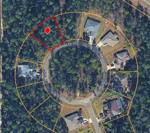 15 Petunias Ct, Homosassa, FL 34446