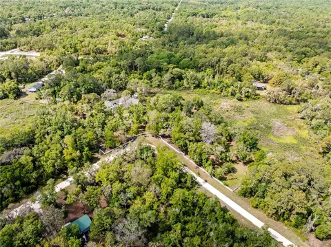 View/Area - 7347 Packingham Dr, Webster, FL 33597 photo 7 of 10
