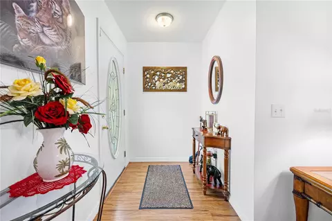 Entry Way - 7347 Packingham Dr, Webster, FL 33597 photo 2 of 10