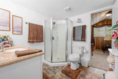 Bath - 7347 Packingham Dr, Webster, FL 33597 photo 5 of 5