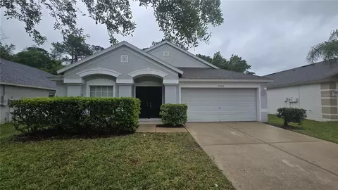 25202 Lexington Oaks Blvd, Wesley Chapel, FL 33544