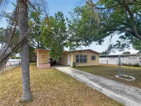 6202 N Hale Ave, Tampa, FL 33614