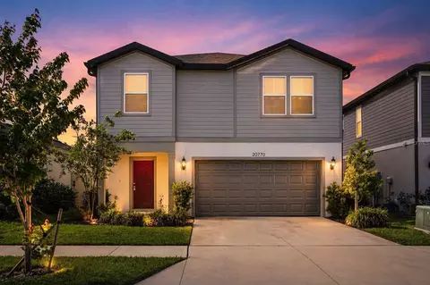 20770 Balsam Hill Rd, Land O Lakes, FL 34638