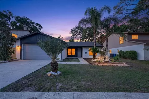14841 Oak Vine Dr, Lutz, FL 33559