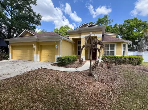3115 Red Lion Dr, Valrico, FL 33596