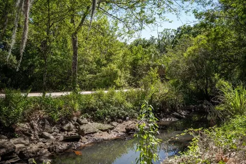 View/Area - 1658 Douglas Ave, Dunedin, FL 34698 photo 4 of 10