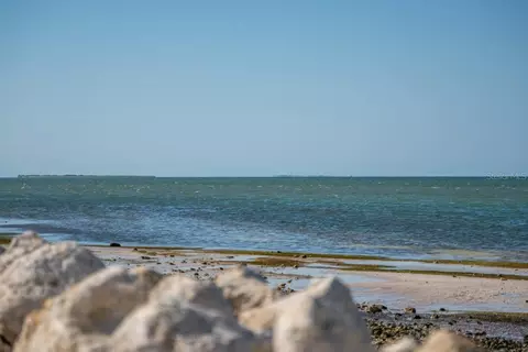 View/Area - 1658 Douglas Ave, Dunedin, FL 34698 photo 7 of 10