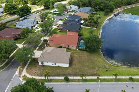 View/Area - 9103 Pinebreeze Dr, Riverview, FL 33578 photo 5 of 11