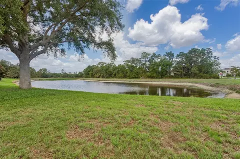 View/Area - 9103 Pinebreeze Dr, Riverview, FL 33578 photo 3 of 11