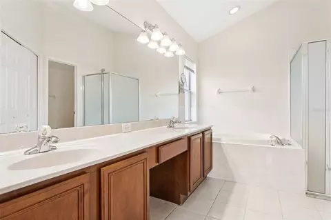 Bath - 9103 Pinebreeze Dr, Riverview, FL 33578 photo 3 of 4