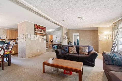 11101 Sumner Rd, Wimauma, FL 33598 photo 4