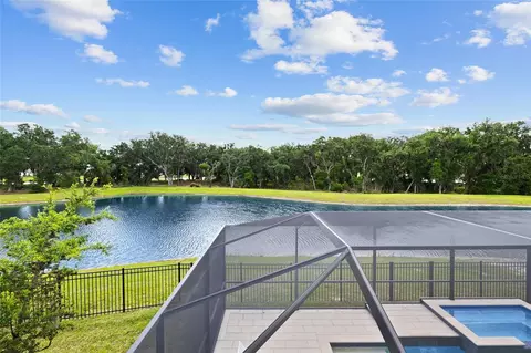 View/Area - 12940 Steed Trace Loop, Lithia, FL 33547 photo 1 of 6