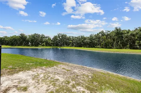 View/Area - 12940 Steed Trace Loop, Lithia, FL 33547 photo 2 of 6