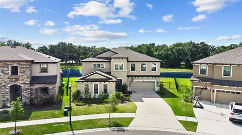 View/Area - 12940 Steed Trace Loop, Lithia, FL 33547 photo 3 of 6
