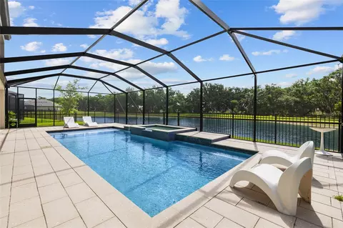 Exterior - 12940 Steed Trace Loop, Lithia, FL 33547 photo 10 of 17