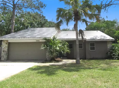 22646 Weeks Blvd, Land O Lakes, FL 34639