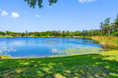 10209 Lake Grove Dr, Odessa, FL 33556