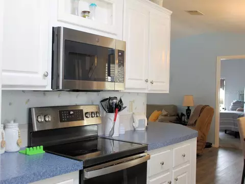 64 Thatch Palm St W, Largo, FL 33770 photo 3