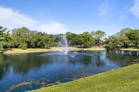 View/Area - 3428 Brookridge Ln, Parrish, FL 34219 photo 4 of 14